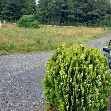 Garden And Big Parking